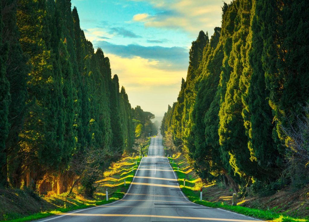 Bolgheri Toscana