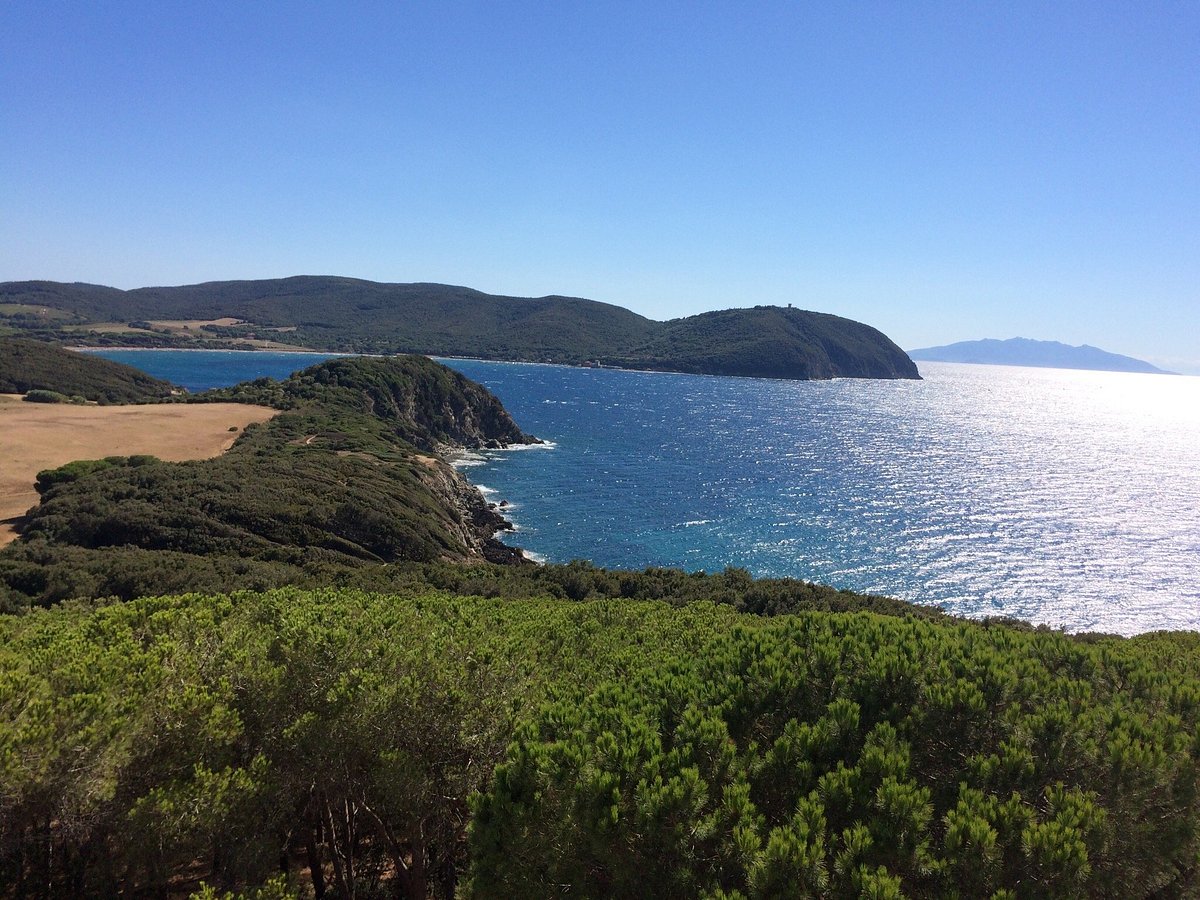 Golful Baratti Toscana